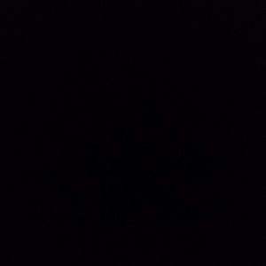 Meet your Posher, Gladys